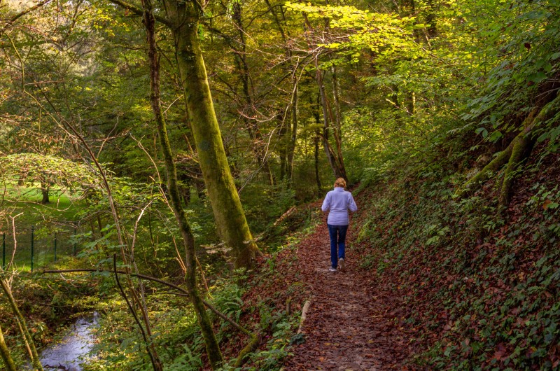 Smarjeske Toplice park in grad 25
