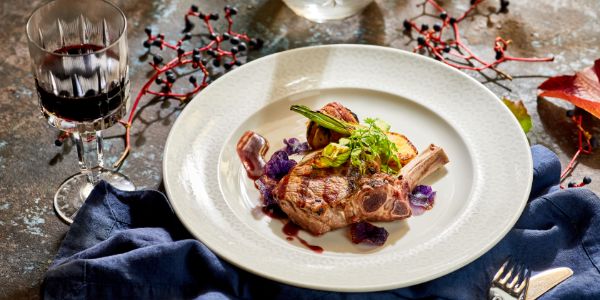 Slovenia Hotel grad otocec restaurant2