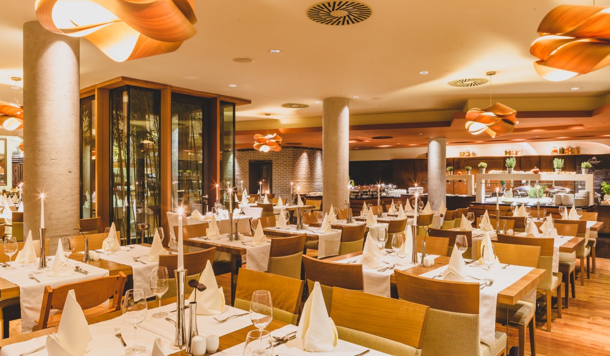 Dolenjske Toplice Hotel Balnea restavracija