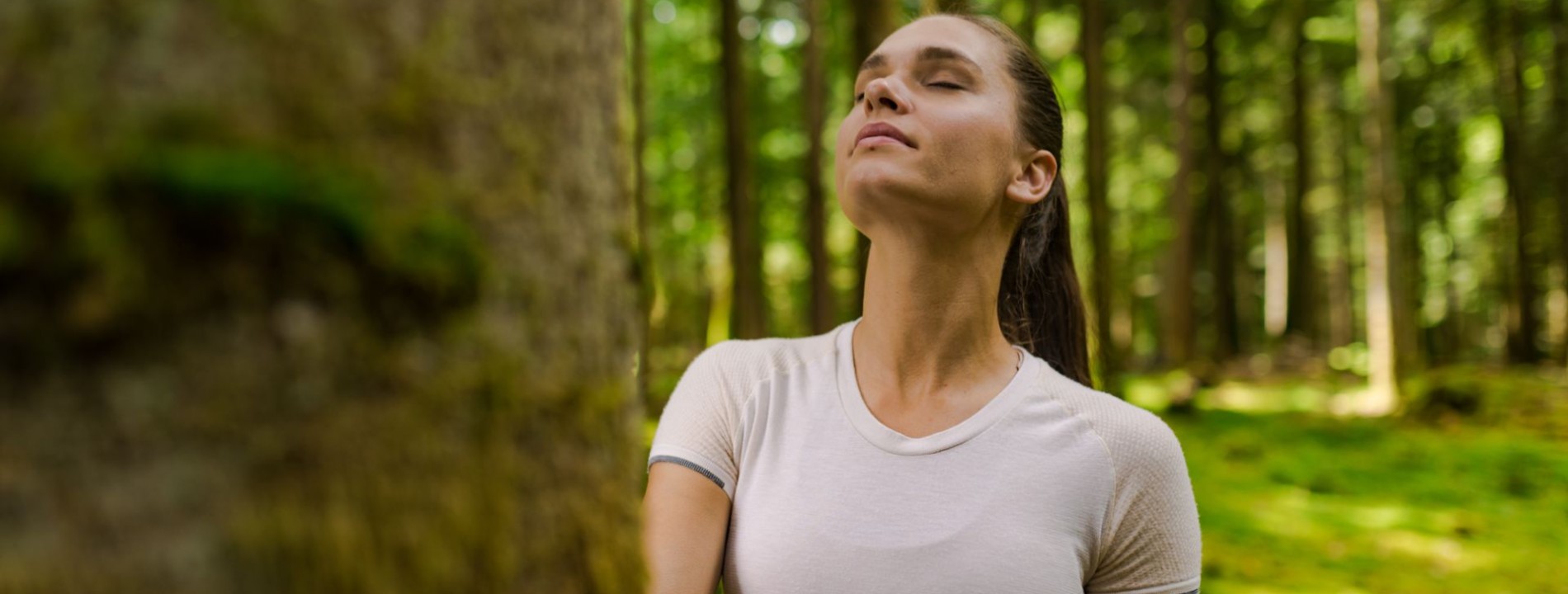 cujeca hoja Terme Dolenjske Toplice Antistres Zen gozdna hoja
