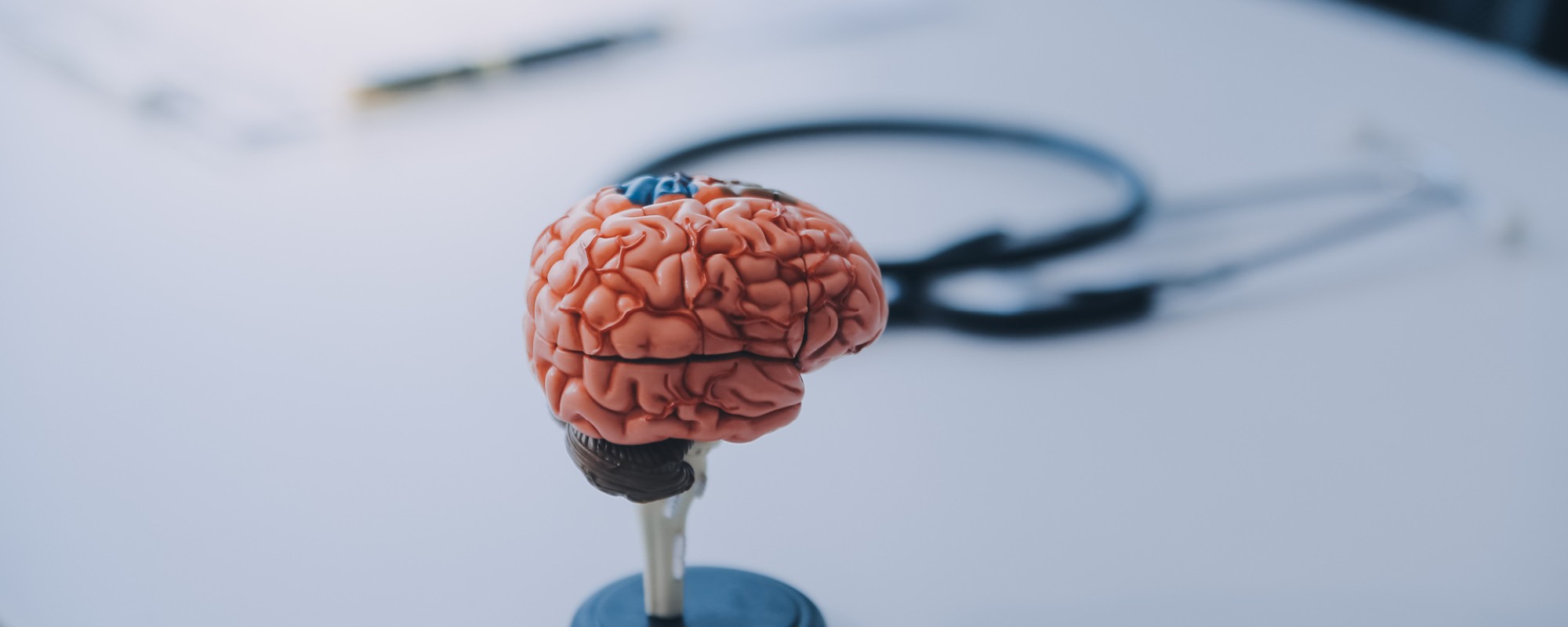 Rehabilitacija po mozganski kapi2